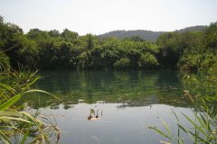 IMG_1949-01