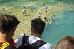 IMG_1964-01