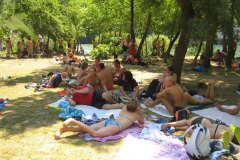 IMG_1981-01