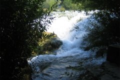 IMG_1988-01
