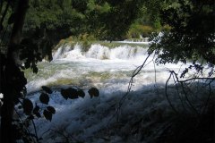IMG_1989-01