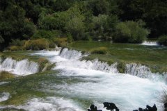 IMG_1994-01