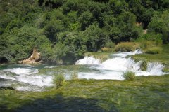 IMG_1996-01