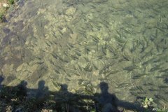 IMG_2012-01