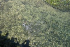 IMG_2019-01
