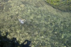 IMG_2020-01
