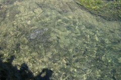 IMG_2021-01