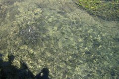 IMG_2022-01