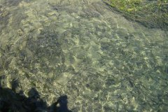 IMG_2023-01