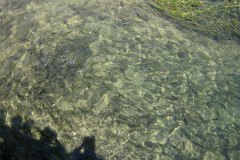 IMG_2024-01