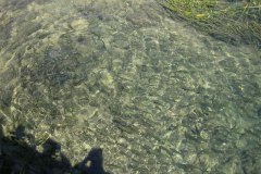 IMG_2025-01