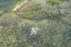 IMG_2029-01