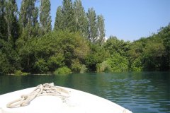 IMG_2035-01