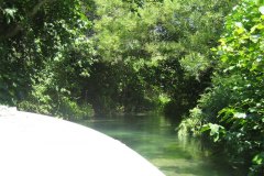 IMG_2036-01