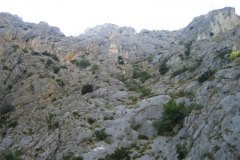 IMG_2062-01
