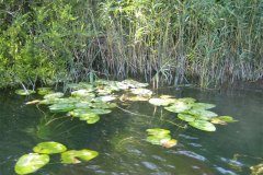 IMG_2070-01