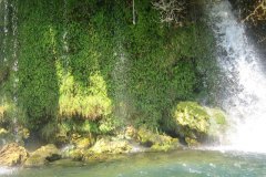IMG_2084-01