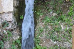 IMG_2094-01