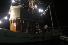 IMG_2233-01
