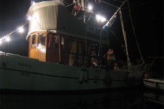 IMG_2235-01