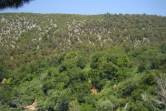 STD_2003-01