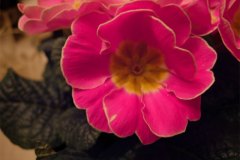 DSCN1123-01
