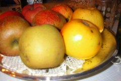 IMGP0054-01
