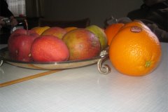 IMG_4906-01