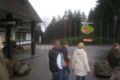 IMG_4913-01