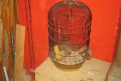 IMG_4931-01
