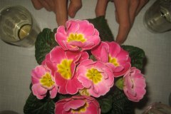 IMG_5044-01