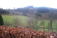IMG_5080-01