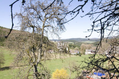 IMG_2707
