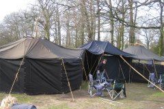 IMG_5366-01