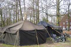 IMG_5368-01
