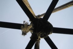 IMG_5373-01