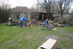 IMG_5395-01