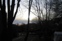 IMG_5409-01