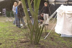 IMG_5414-01