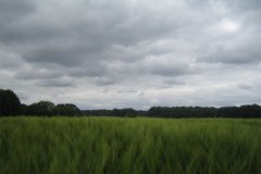 IMG_0051-01