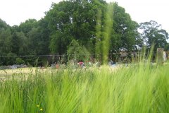 IMG_0052-01