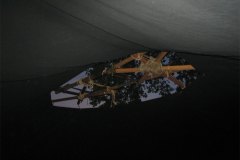 IMG_9638-01