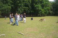 IMG_9807-01