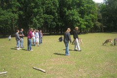 IMG_9808-01