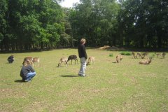 IMG_9809-01