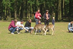 IMG_9812-01
