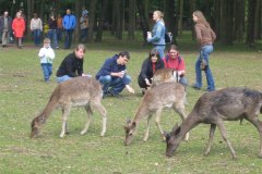 IMG_9814-01
