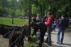 IMG_9819-01