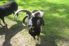 IMG_9830-01