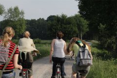 IMG_0019-01